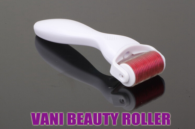 Full Body Derma Roller for Natural Skin Regeneration & Scar Repair with Private Label Services, 
