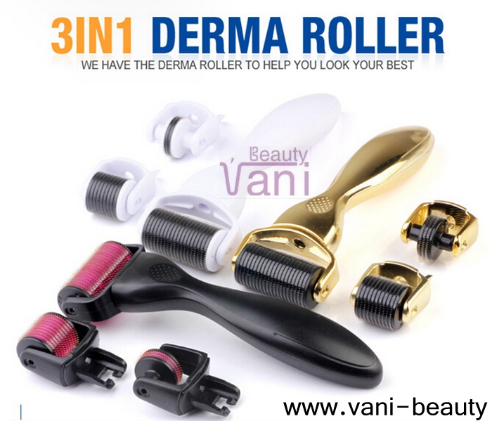 Derma Rolling System Skin Care 3 in 1 Factory Direct Wholesale Normal/Paint, 